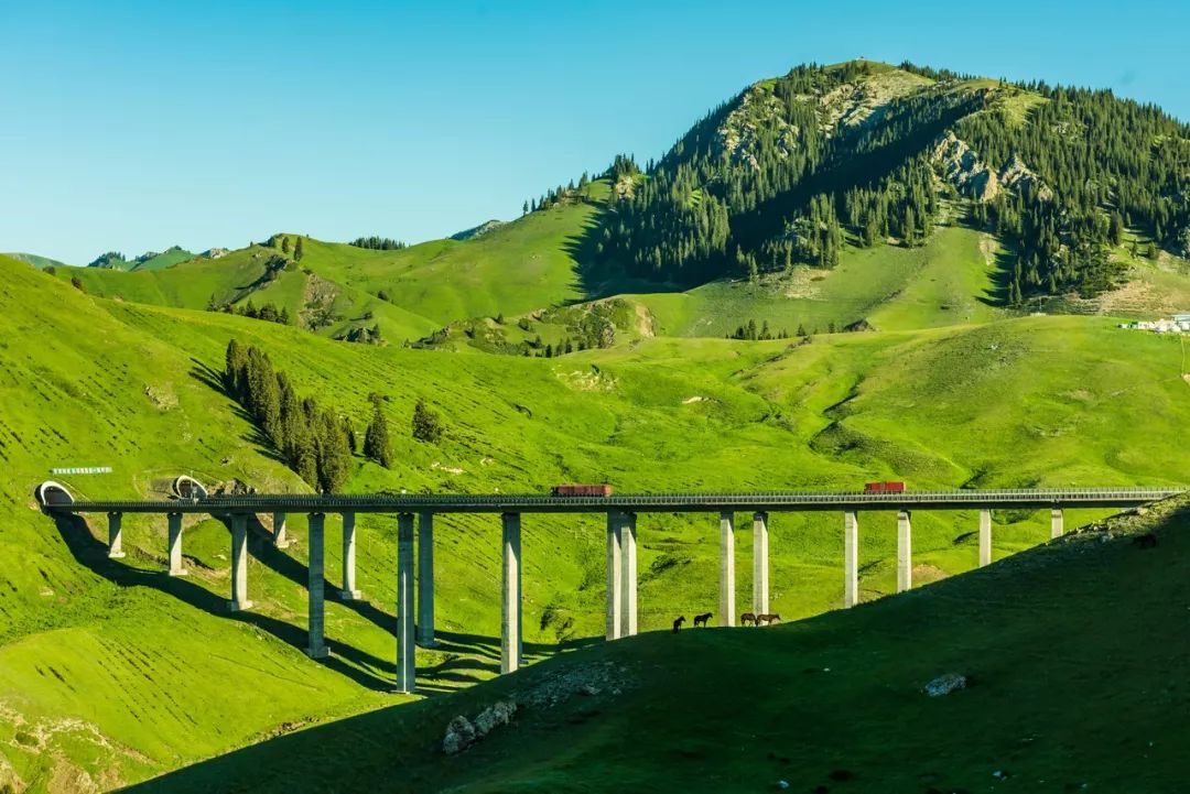 【新疆维吾尔自治区】去了北疆才知道，中国有多大；去了南疆才知道，中国有多美 美人美景