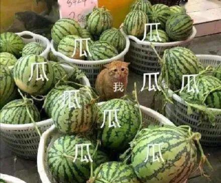 「郑智薰」韩国巨星rain是如何把一手烂牌打好的?