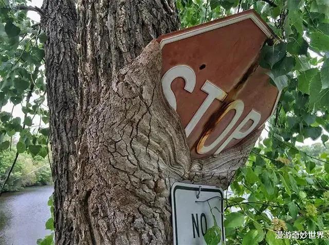 |28个被人类遗忘的角落，遭遇大自然的无情反噬！