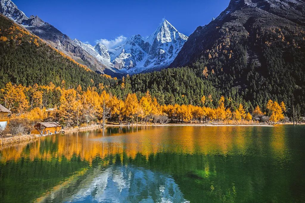 川西|川西，整个秋季最美的地方！思鹿旅行推荐