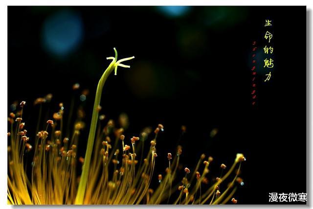 外星人|佛家指出宇宙有外星人存在,至少三支域外种群,比人类文明更强盛