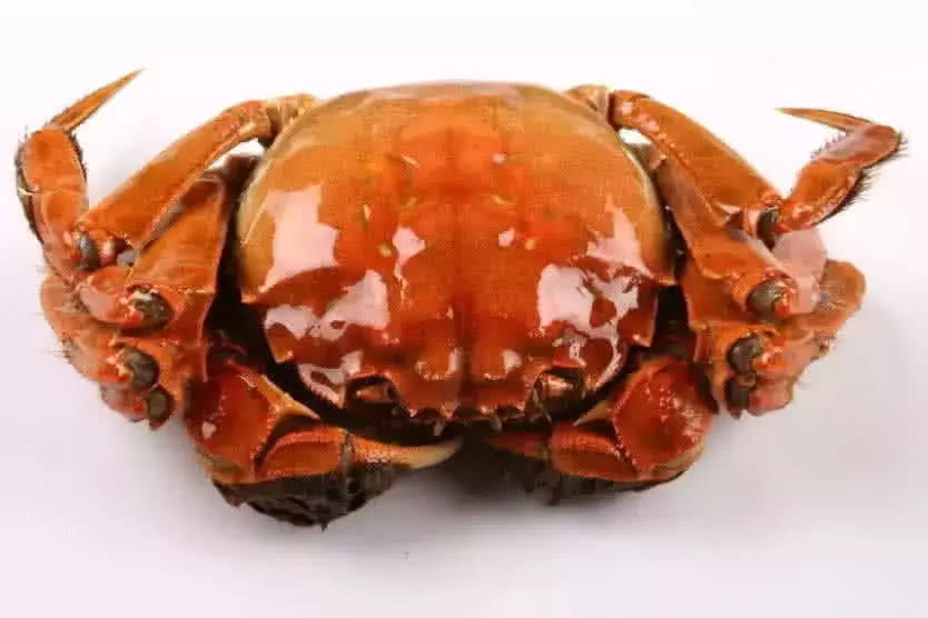 『』“很脏”冷知识:人大约10天不睡觉就会死亡,早起不应该叠被子