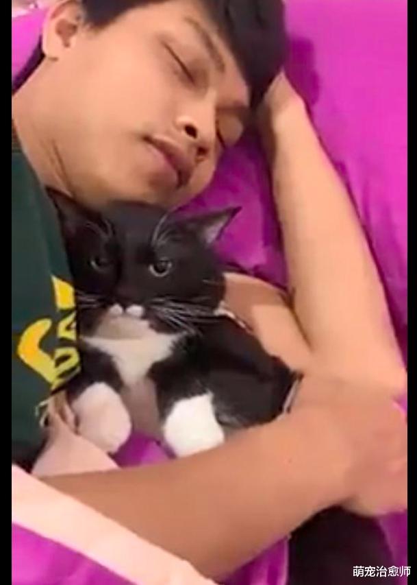 老公搂着猫咪睡觉，它还瞪着网友：看什么看，这男人是属于我的！