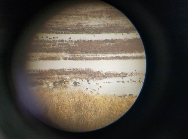 骆驼|28张不可思议的视觉照片，我说不是PS的你相信吗？