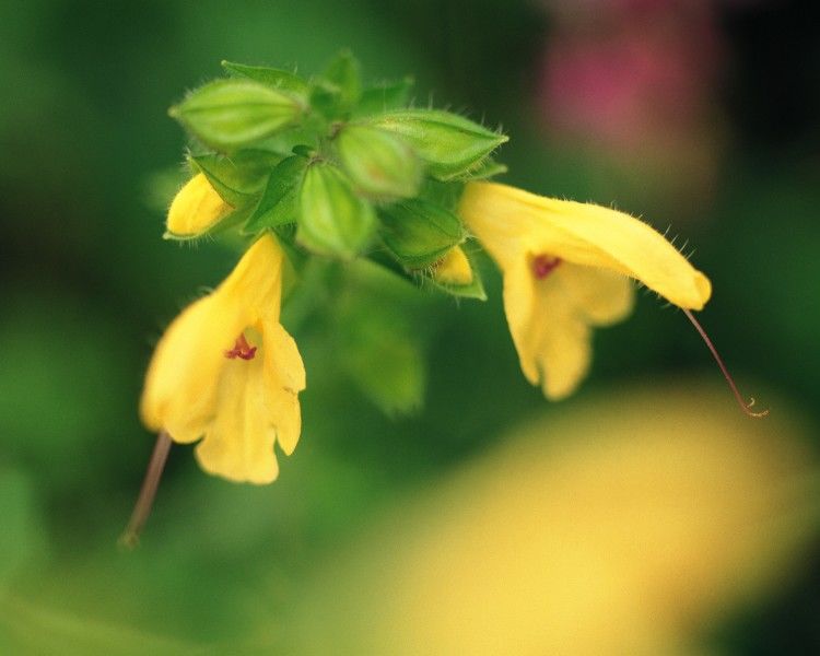 生肖|11月这3大生肖，会被财神的眷顾，财源广进，财富多多