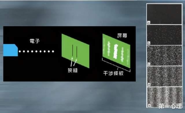 量子力学|量子力学:你的人生都是设计好的,所有努力都是白费力气