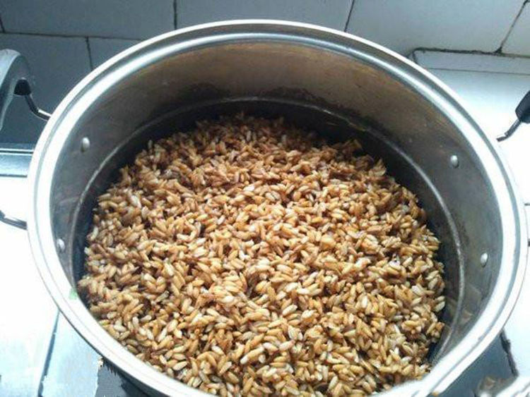 「鸡蛋」钓不到鱼怎么办?老大爷传授的“臭谷子”钓法,专攻大鲤鱼