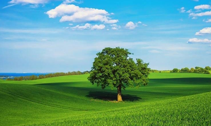 「生肖」恭喜！6月一到，3生肖大富大贵，事业大有成就，春风得意