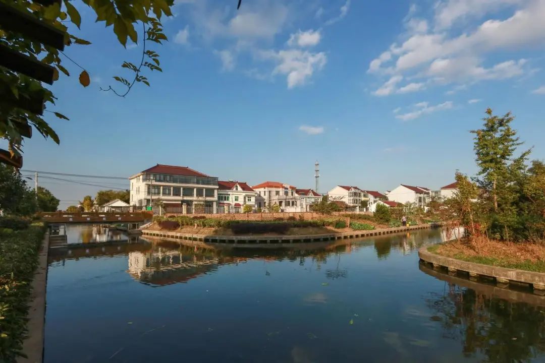 浦东发布 浦东有六个村被评为2020年度上海市美丽乡村示范村,你都去过吗?