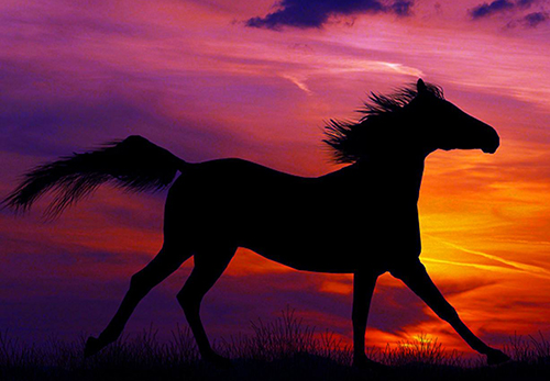 摩羯座：整个夏天，事业上升，财富倍增的三个星座