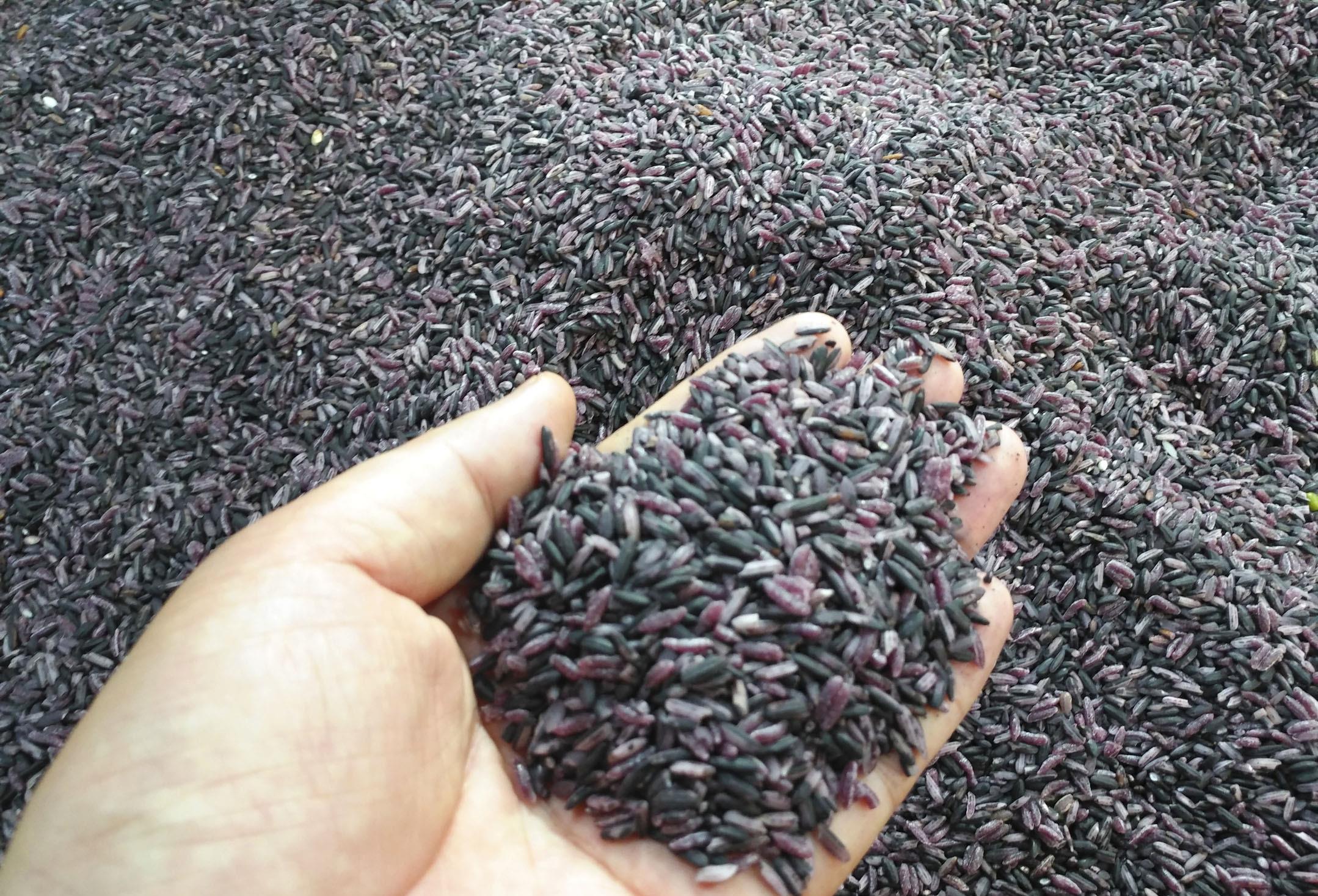 衰老|女性身体3处的“毛”越多越好？只有少部分人全中，若你有，恭喜