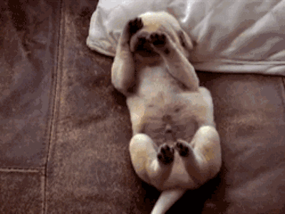 「城管」扎心!今年只剩8天假了