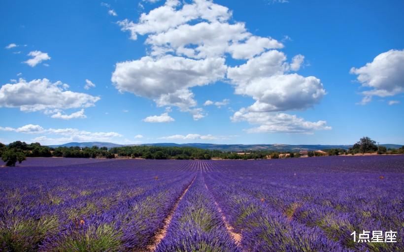「生肖」12星座的5月运势走向,爱情运势旺,事业有成