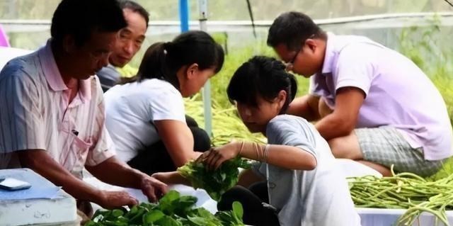 食材|中国人拿来“喂猪”食材，起了个“洋名字”出口到美国，遭人抢购