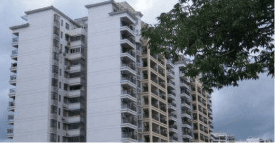 女子240万买公寓，一开窗后看愣了：这是空中花园吗？