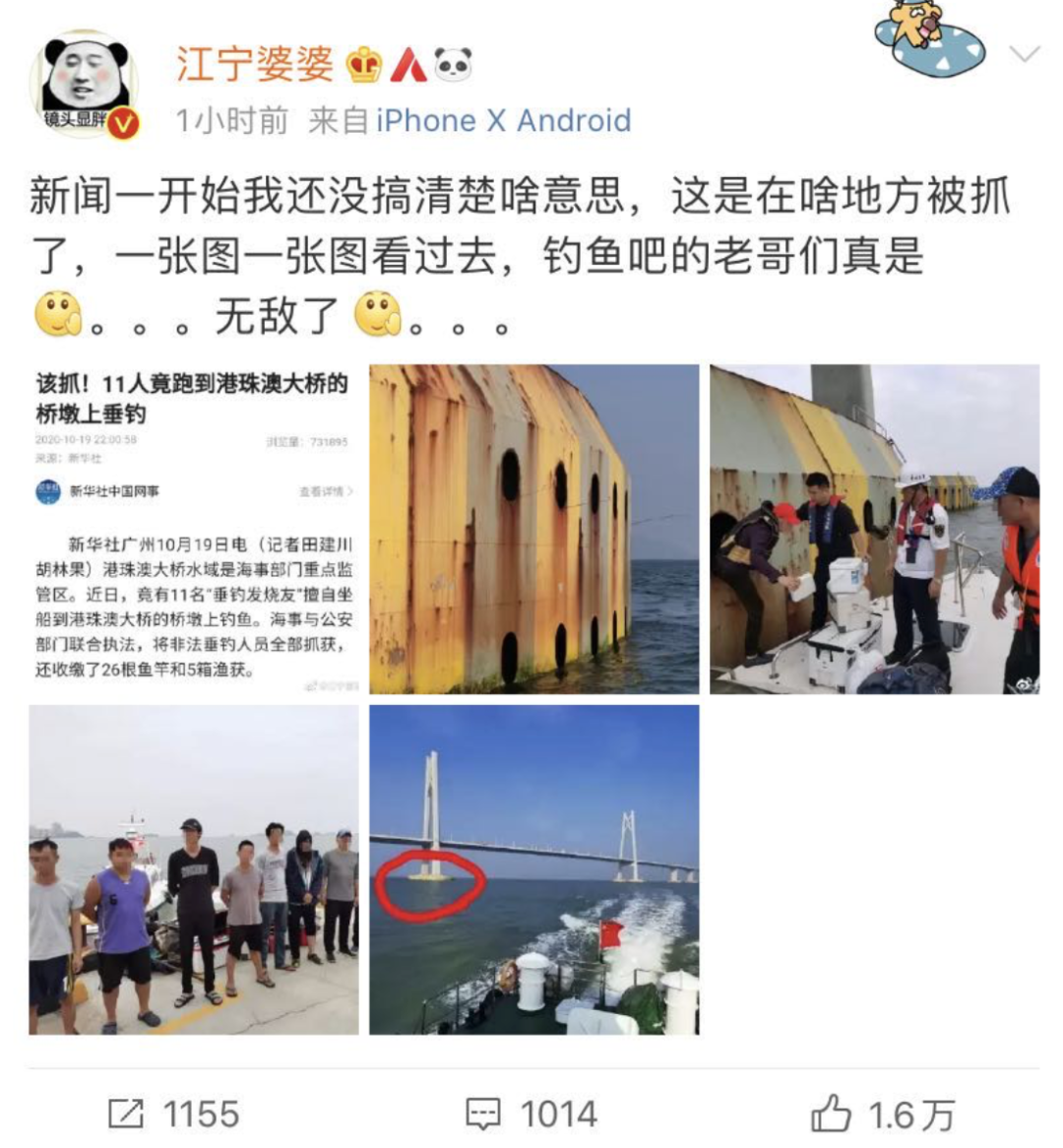 港珠澳大桥|上港珠澳大桥钓鱼，11人被抓！现场图亮了……