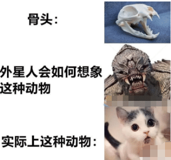 外星人|“外星人根据骨头，想象地球上的生物会是什么样的呢？”反差绝了