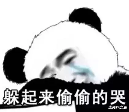 膨胀了，成都500万的豪宅我也敢写！