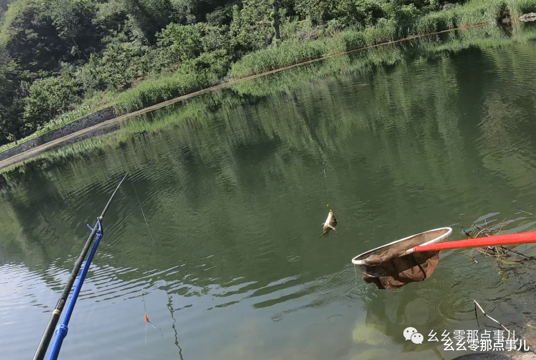 怀柔▲北京怀柔的垂钓遛娃圣地：半斤多的大板鲫，孩子的戏水乐园！