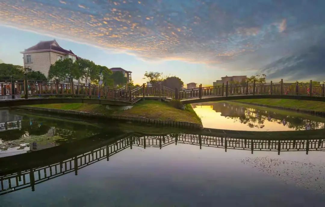 浦东发布 浦东有六个村被评为2020年度上海市美丽乡村示范村,你都去过吗?