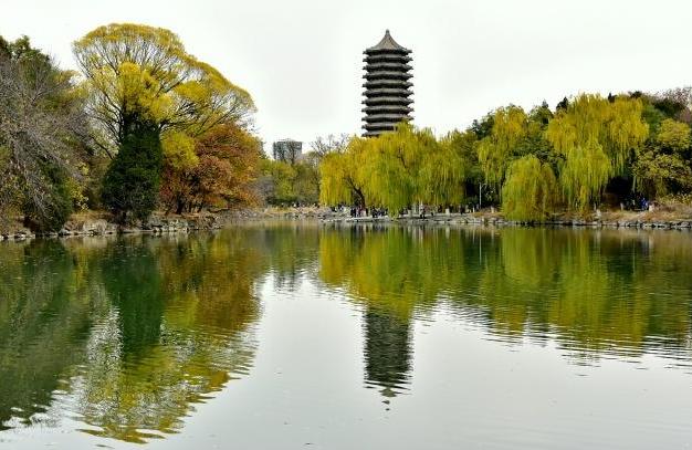 高考状元|高考状元张天一:北大毕业卖米粉,被董明珠骂白读书,他现状如何