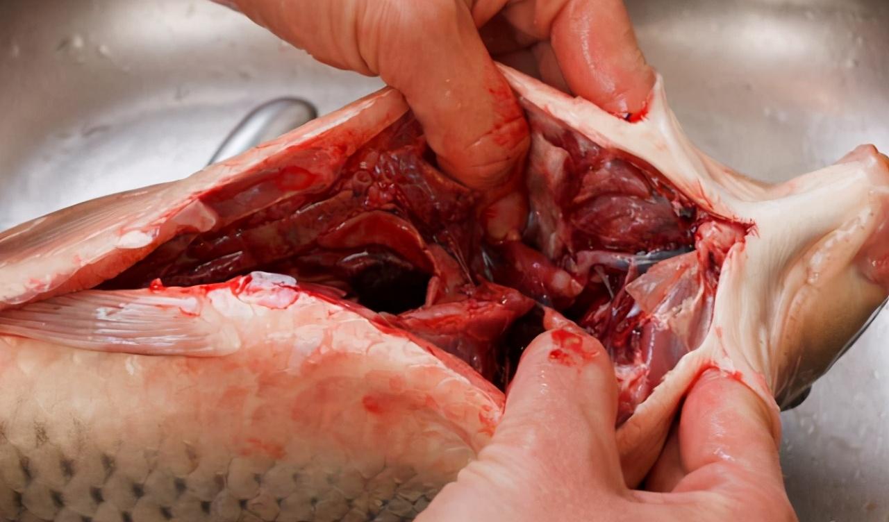 鱼头|鱼身上的这三块肉都是“毒王”,很多人都不知,还以为很宝贝!