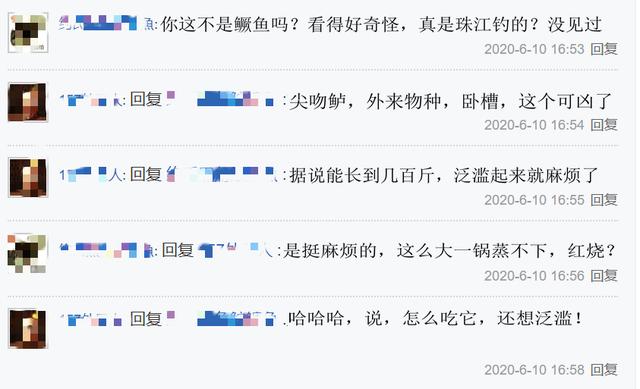『珠江』十几斤鳜鱼？广东钓鱼人珠江钓起“金眼鱼”，为凶猛外来物种