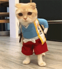 宇航员|“女性宇航员在太空会不会来大姨妈？”哈哈哈评论是直男癌晚期吧...