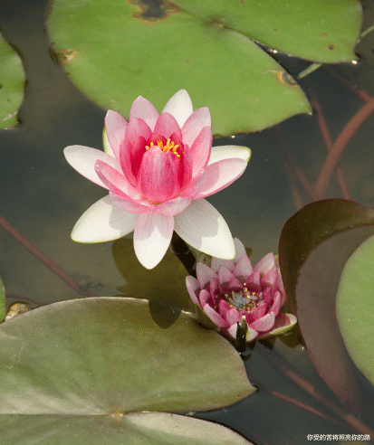 运势▲到七月份，4属相赚钱轻松，占据福气，收获财富，生活更舒心