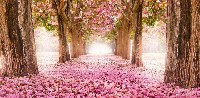 |2020下半年，喜事拜访的几星座，做梦都能笑醒，苦尽甘来乘风破浪