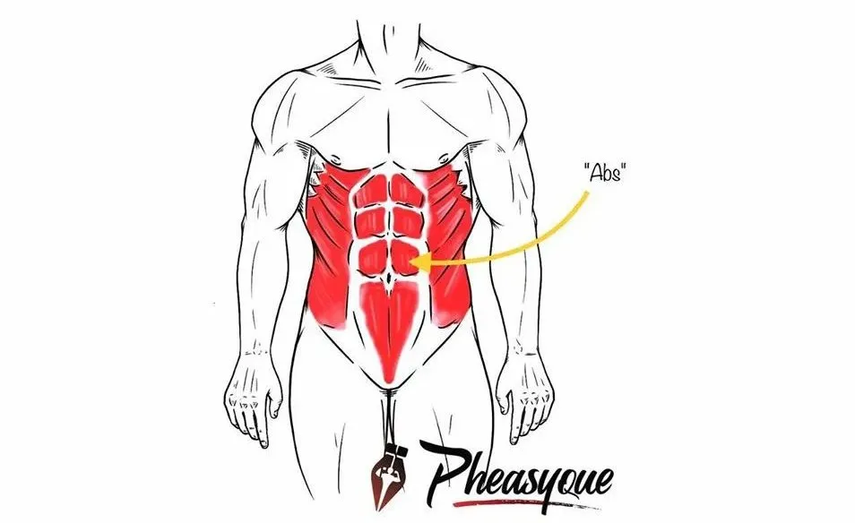 深蹲|本文极易引起健身姿势刷新，请务必认真阅读