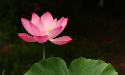 舒淇|拍电影遇怪事的明星：舒淇拍戏化浓妆，导演看到回放立刻拜祭道歉