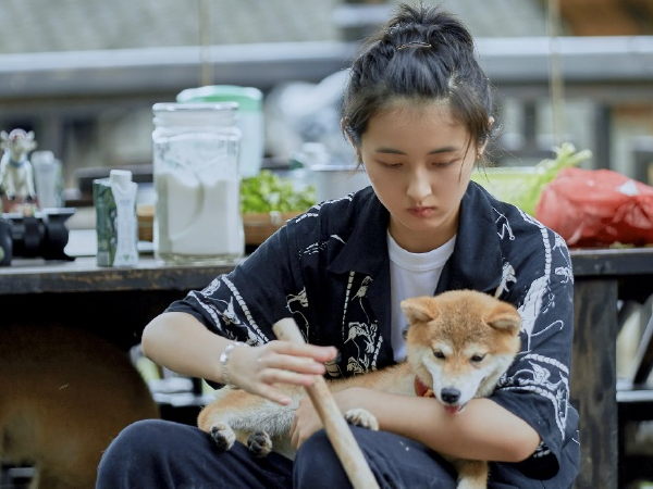 「张子枫」向往的生活：捧红了张子枫，捧红了彭昱畅，唯独他在走下坡路