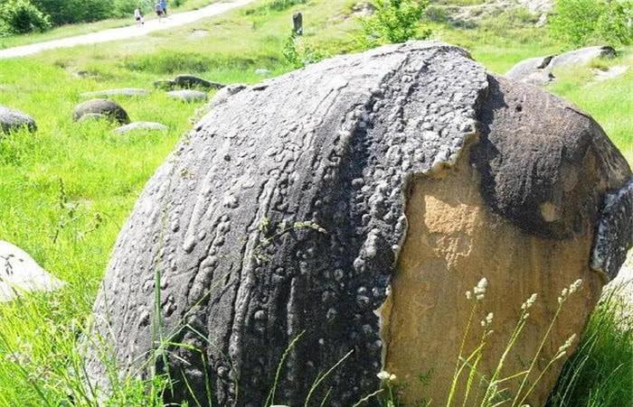 『隔离』“会逃跑”的石头，会喝水长大，科学家切开之后发现端倪！