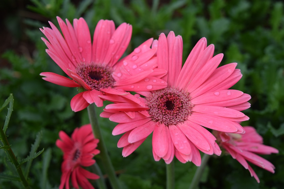 生肖|看起来脾气温和，好拿捏，实则杀伤力十足的星座，不能轻易招惹