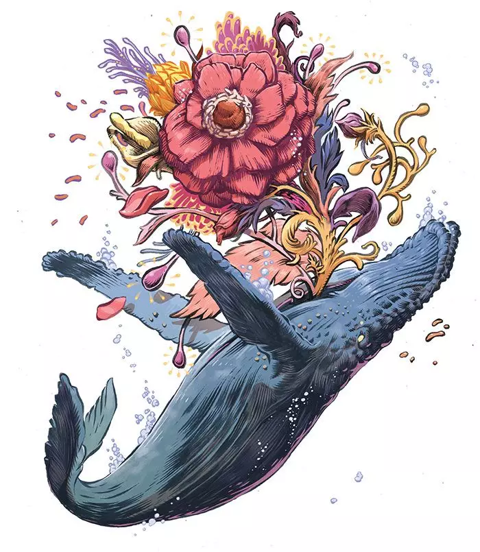 『鲸落』中国南海首次发现鲸落：一鲸落，万物生！这是世界上最浪漫的死亡