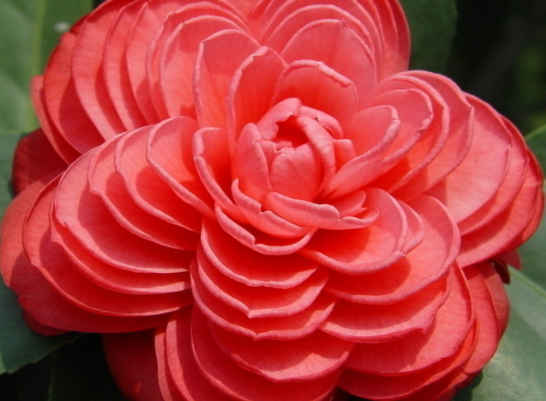 『属龙』4月1号开始，4属相财星庇佑，财源上门来，祸事不近身，横财滚滚