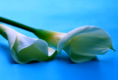 十二星座|2020下半年,平安健康,事业成功的三大星座