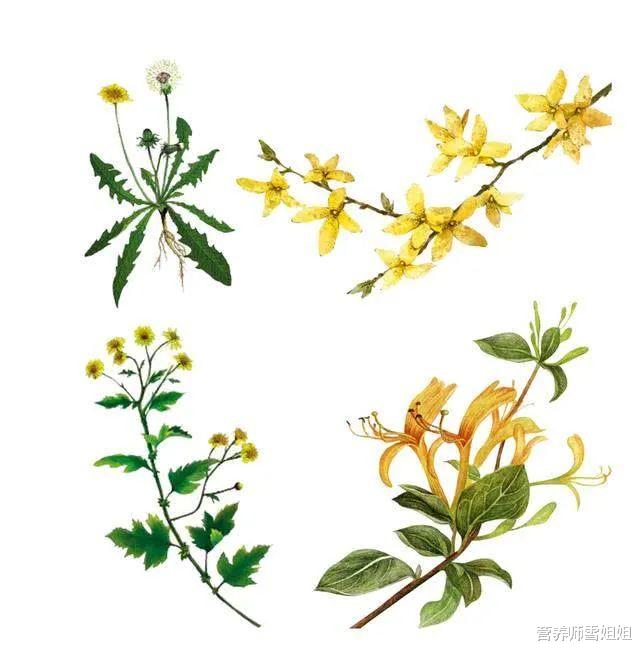 肝脏：肝不好的人，远离三物，谨记“四句话”，促肝排毒，更健康