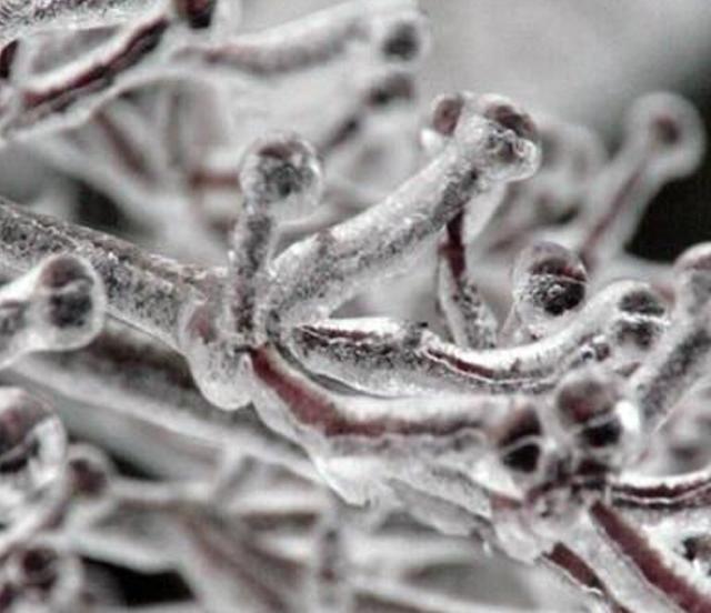 『科学家』科学家为了延长人类的寿命，将“永生细胞”注射体内，结果让人想不到