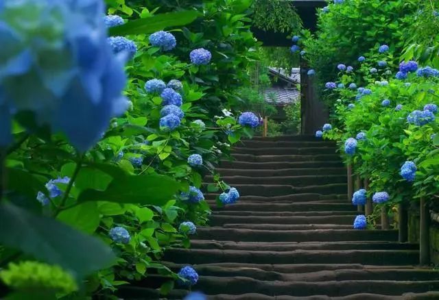 运势|吉星保佑，8月份三大生肖发财月，脱贫迎富贵，发横财滚滚来