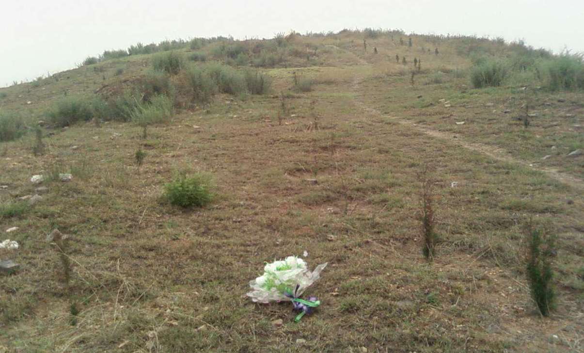 新安@花季少女误入歧途，执行枪决时为何突然张嘴？原来不想容貌被毁