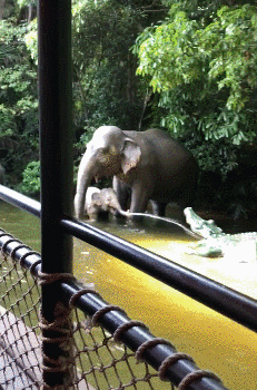 |“华为1996年的招聘广告，大家自己感受一下！”哈哈哈哈哈哈哈哈！