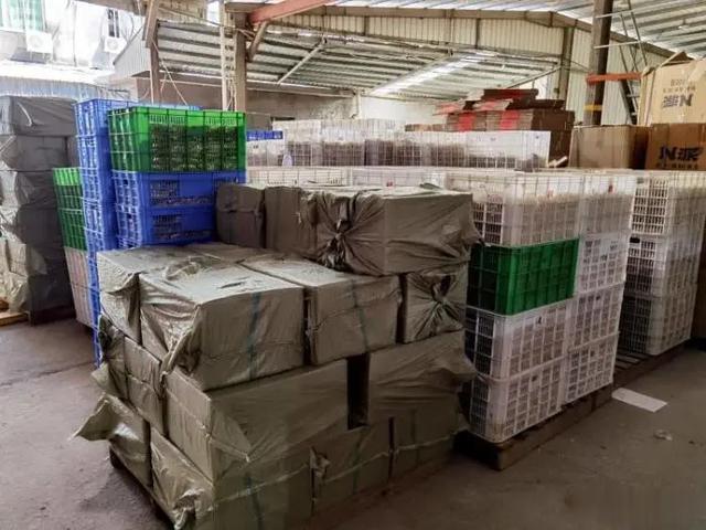 广州日报大洋网|恶心！涉案3000多万，制作窝点就在化粪池边！你家人可能就在买