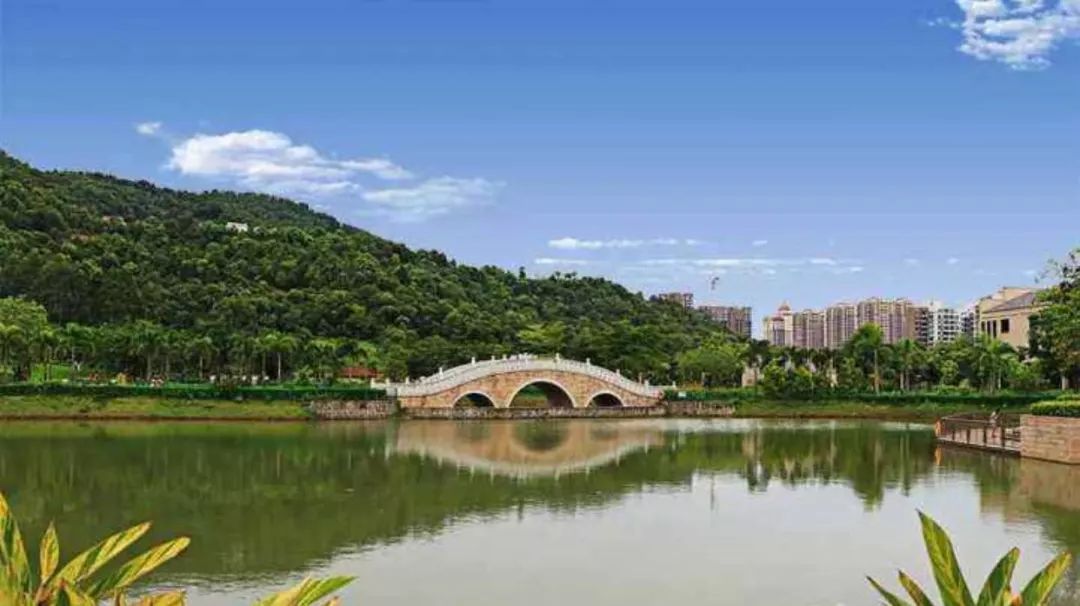 均价只要7500元/㎡！深圳想买房的人赶紧了解！错过太可惜！