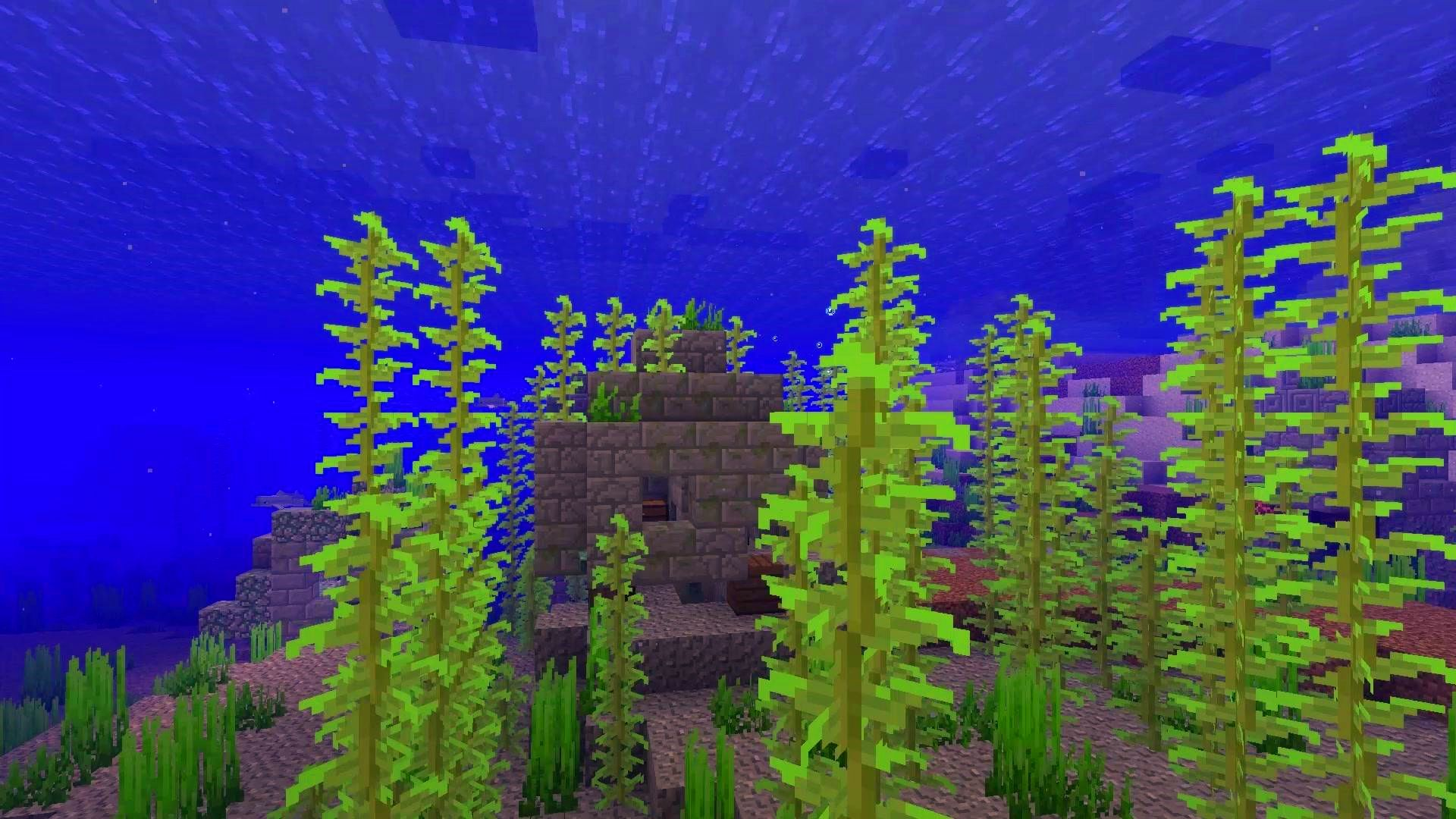 |我的世界：当水下世界变得丰富多彩，钓鱼不再无聊，海洋更有趣