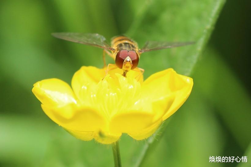 牛人■7月，情缘未断，旧情沸腾，将破镜重圆，重启爱情故事的4大生肖