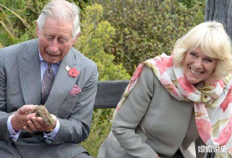 「英国王室」英国王室四世同堂！全家福卡米拉稳居C位，被查尔斯宠成小女孩