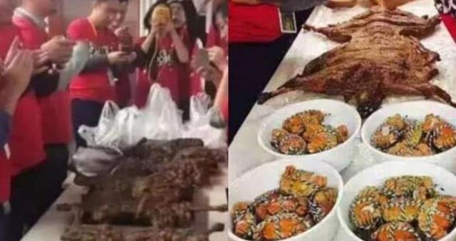 「拼多多」阿里巴巴员工通宵加班，宵夜却意外走红，网友：马总公司还缺人吗