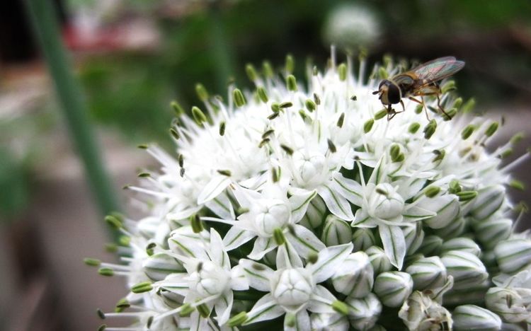 生肖|下半年期间，大行好运，贵人出手帮忙，成就不断的4大生肖